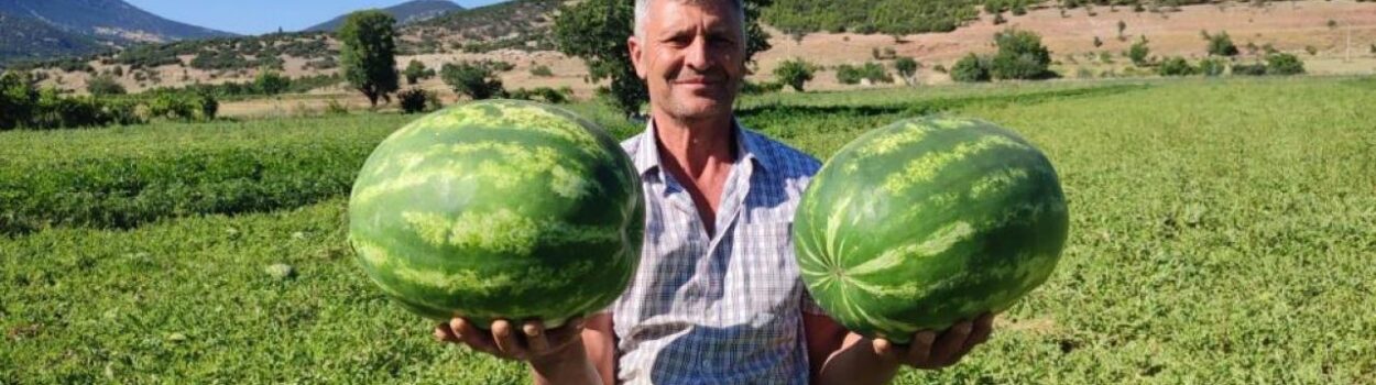Haber gorseli
